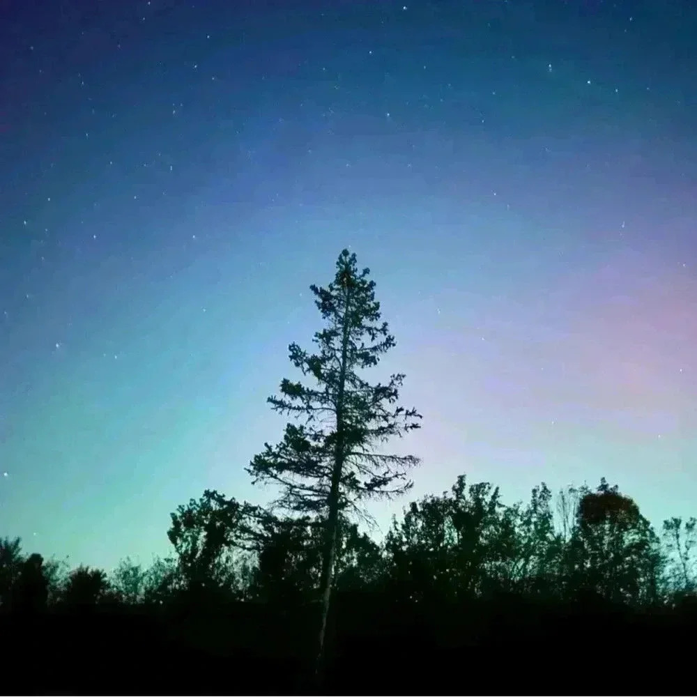 2 for $30 💎Vintage light jade green colour bracelet - Picture 6 of 13